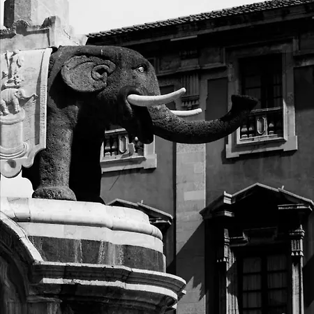 & Della Mercede Apartment Catania